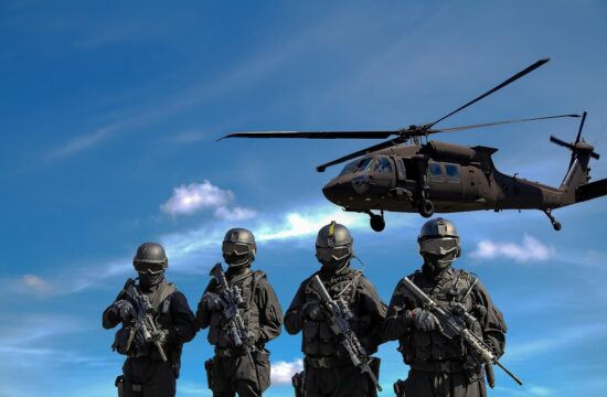 armée de terre