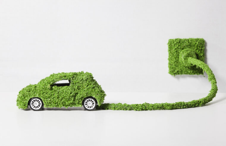 Assurance verte